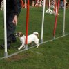 agility 2011-10-30